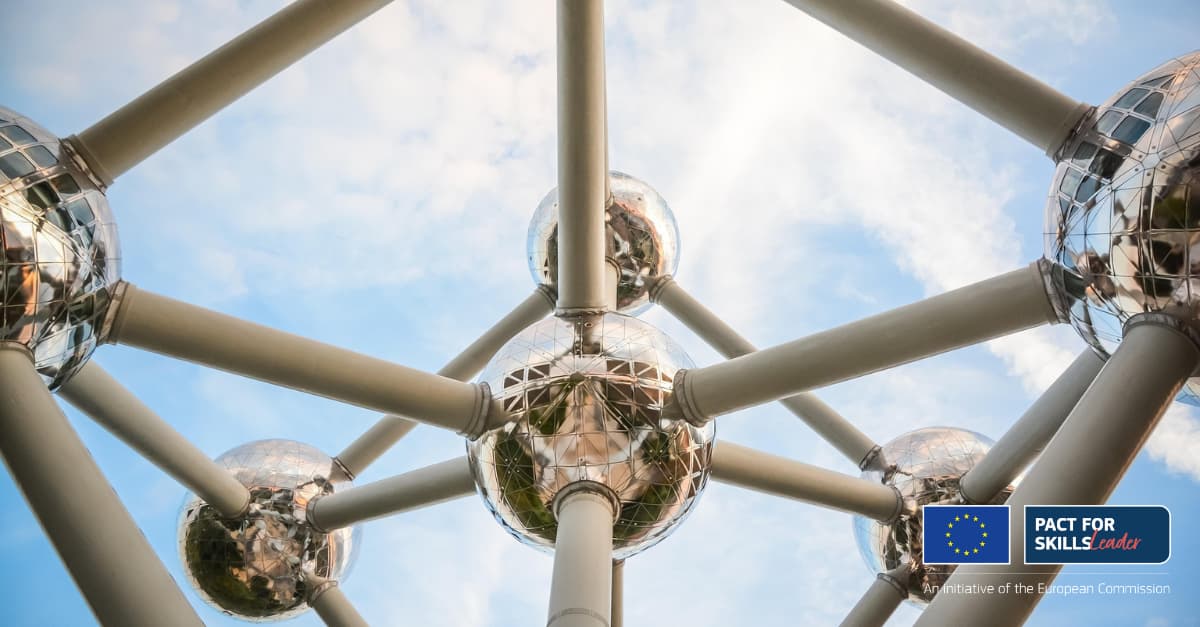 "Pact for Skills European Commission"