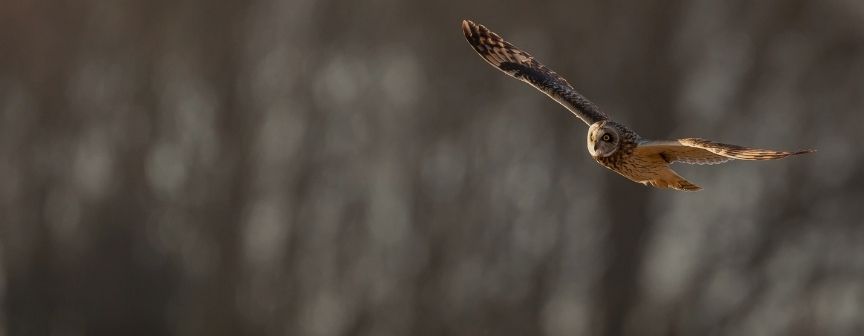 Capability Statement - TrainingAid