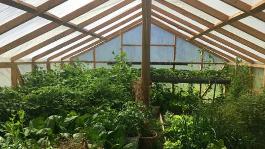 Amity Tours Greenhouse